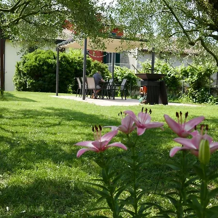 Al Tralcio Apartament